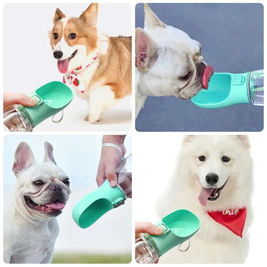 Bouteille d'Eau Portable pour Chien 🐾
Hydratation facile en balade