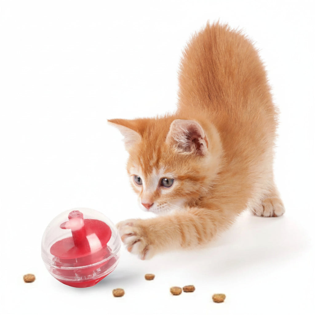 Mangeoire Puzzle Interactive pour Chat 🐾
Stimule l'intelligence et ralentit 
la prise alimentaire
