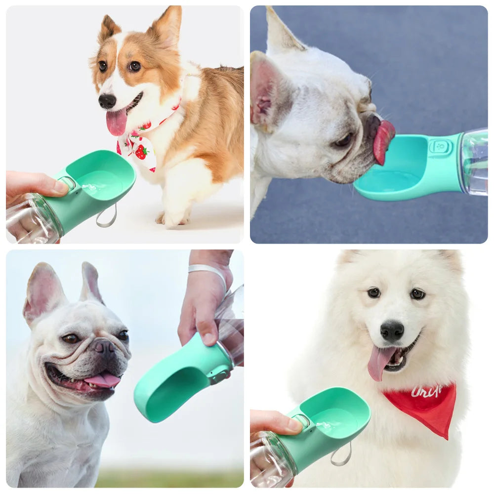 Bouteille d'Eau Portable pour Chien 🐾
Hydratation facile en balade